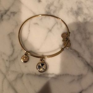 Alex and Ani Crystal Birthstone Bracelet